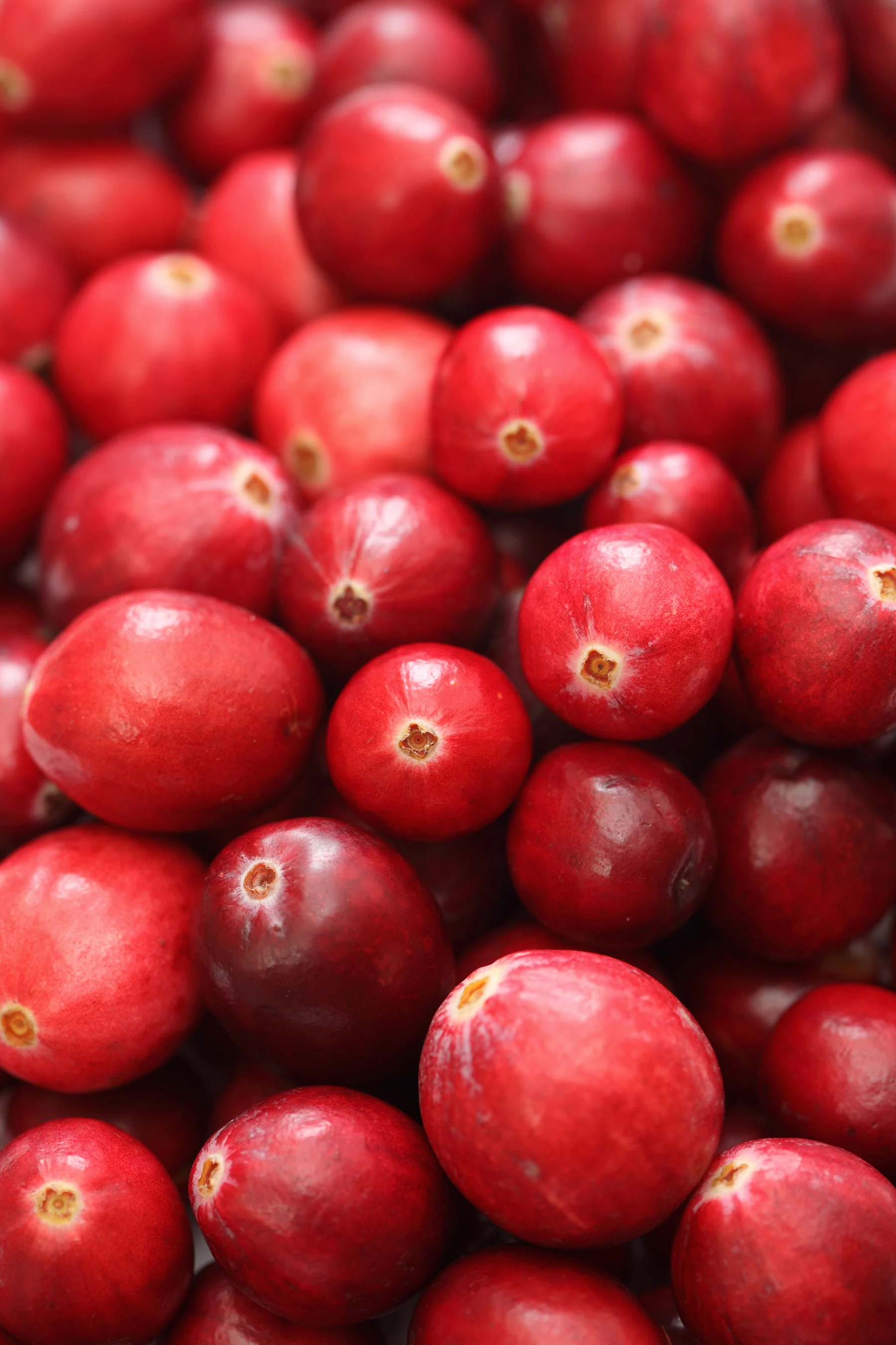 Cranberries