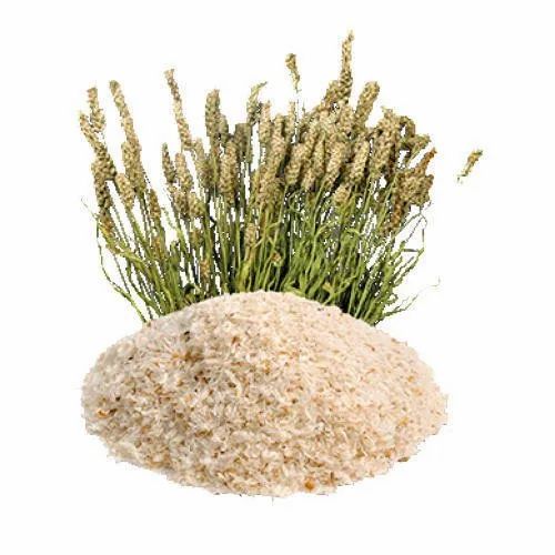 Psyllium husk