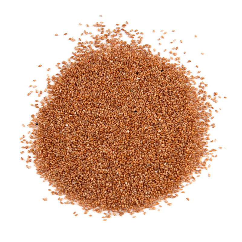 Teff grain