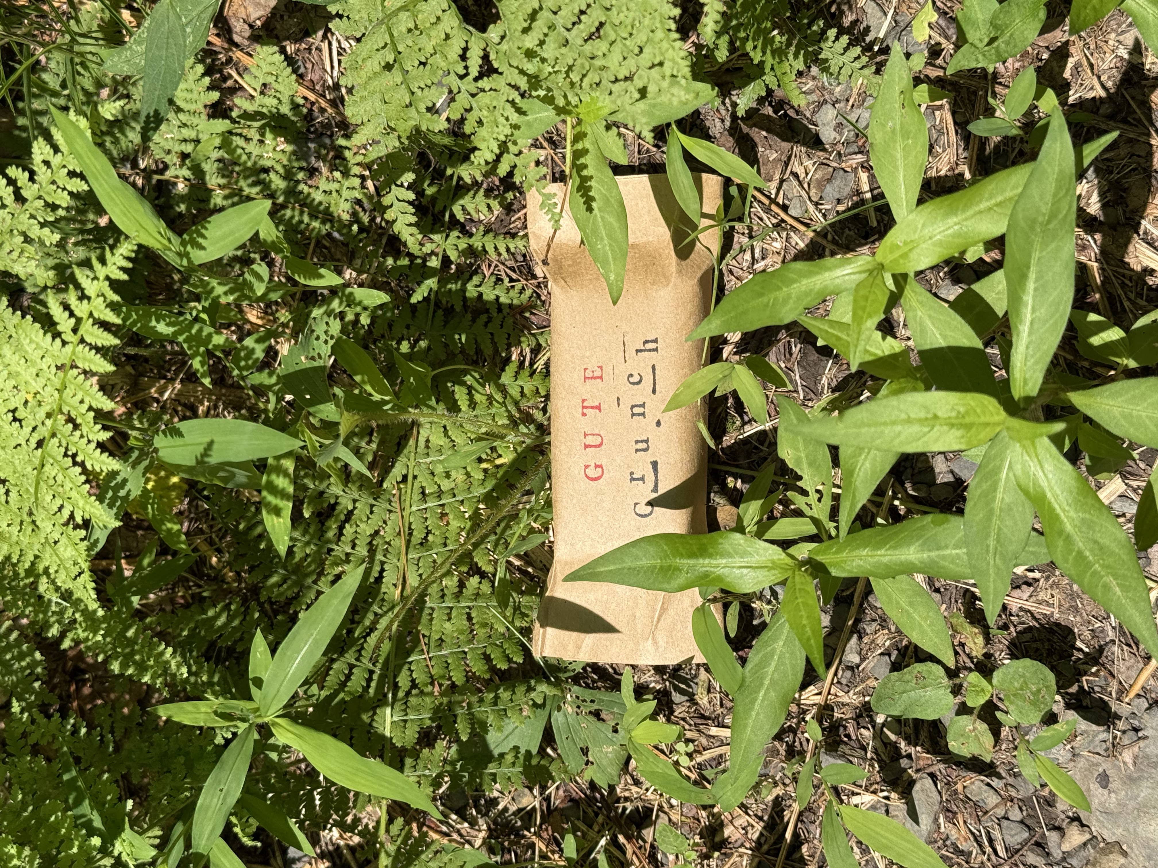 GÜTE Crunch bar in the wild